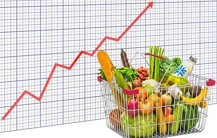 9-dicas-para-enfrentar-a-alta-dos- preços-dos-alimentos